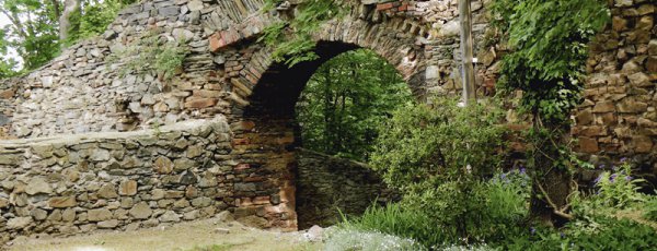 reichenfels jirgmetzner 6d827578 10 10